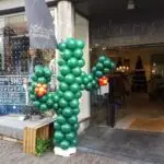 Ballonnen cactus