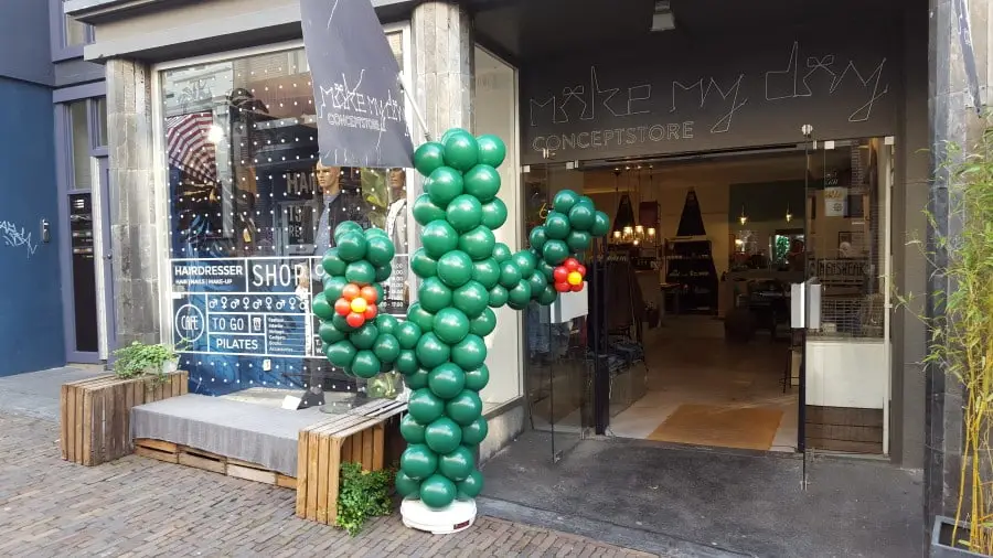 Ballonnen cactus Ballonnen cactus