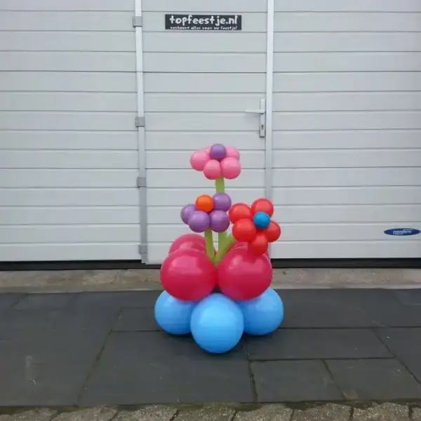 Ballonbloem in pot