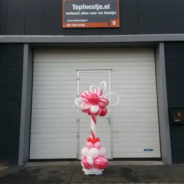 Ballonpilaar 2 kleuren