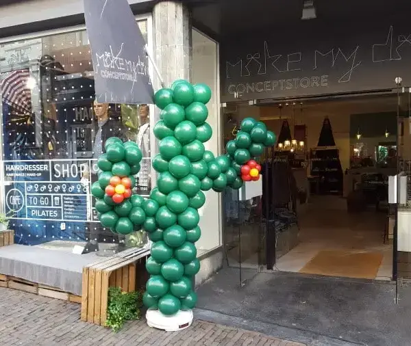 Ballonnen cactus